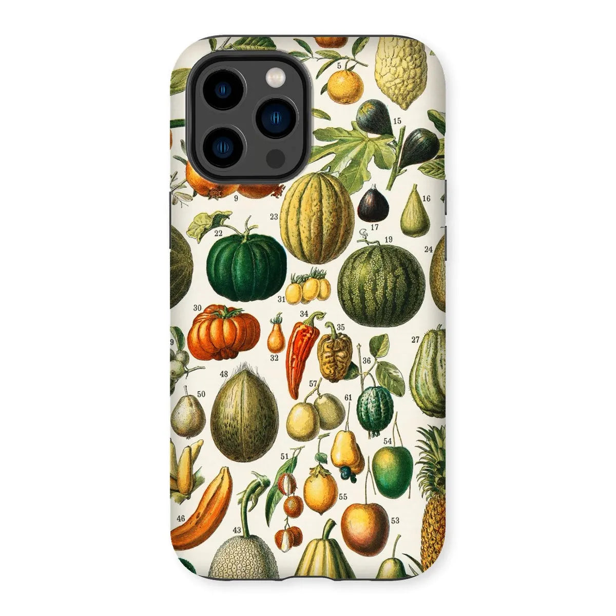 Fruits And Vegetables Art Phone Case - Nouveau Larousse Illustre - Iphone 14 Pro Max / Matte - Mobile Phone Cases