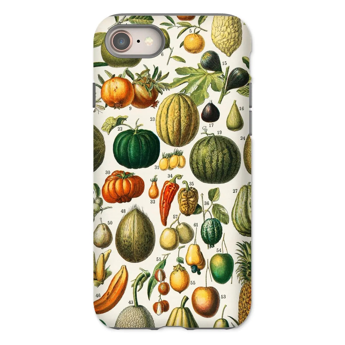 Fruits And Vegetables Art Phone Case - Nouveau Larousse Illustre - Iphone 8 / Matte - Mobile Phone Cases - Aesthetic Art