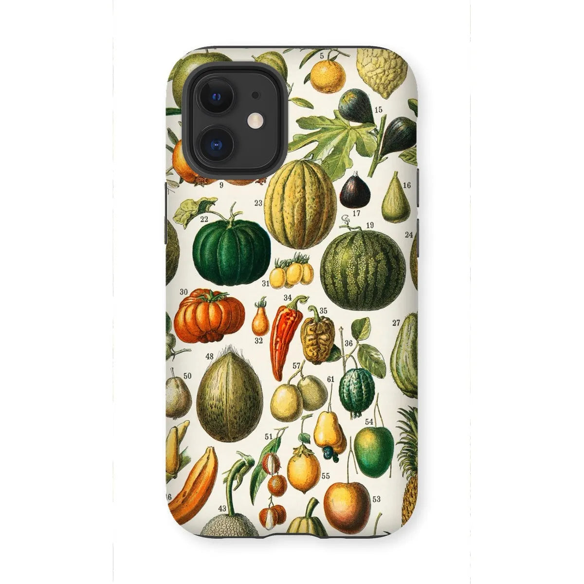 Fruits And Vegetables Art Phone Case - Nouveau Larousse Illustre - Iphone 12 Mini / Matte - Mobile Phone Cases