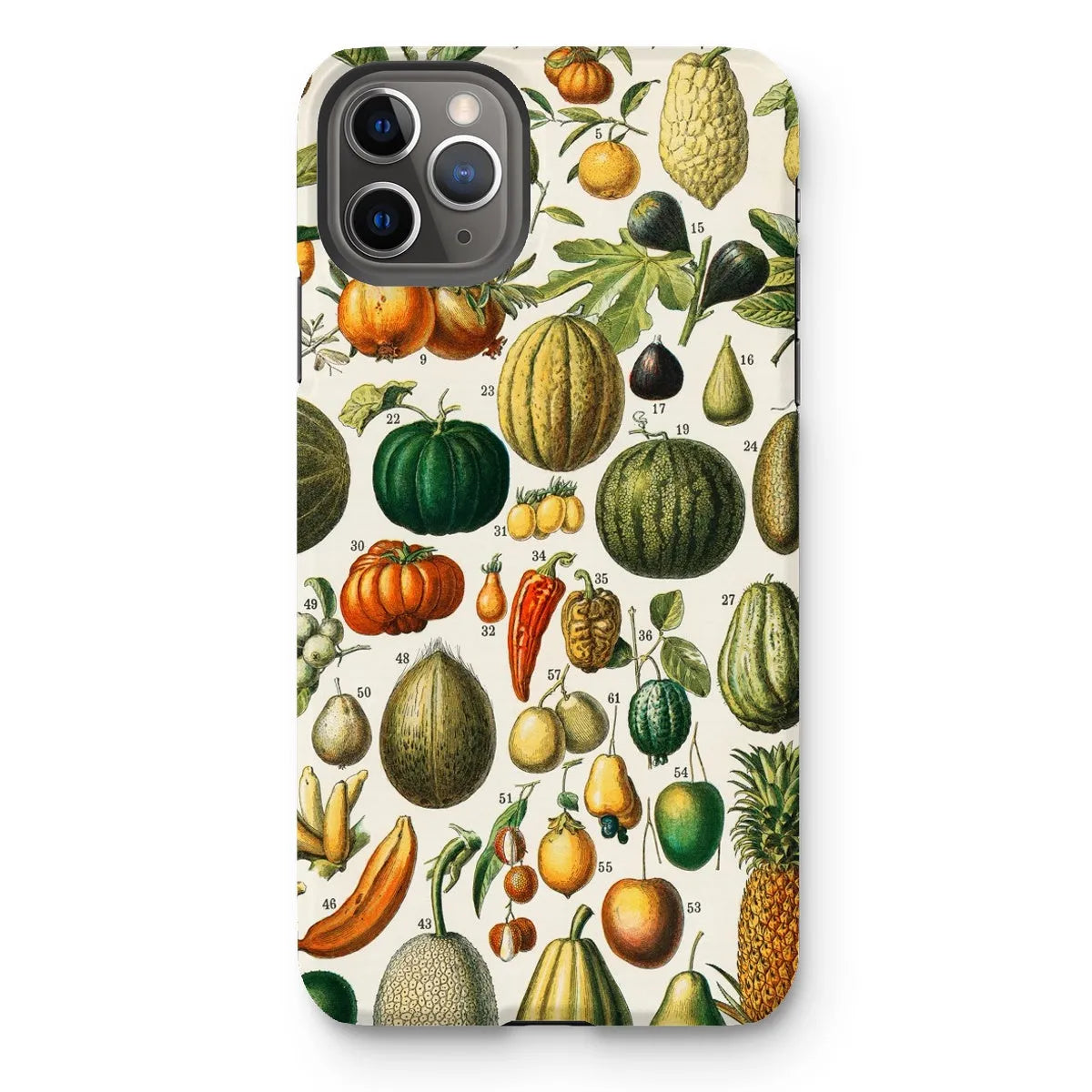Fruits And Vegetables Art Phone Case - Nouveau Larousse Illustre - Iphone 11 Pro Max / Matte - Mobile Phone Cases