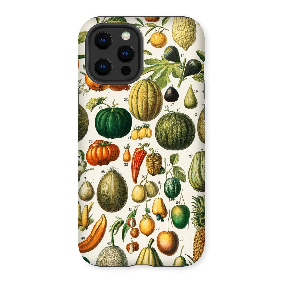 Fruits And Vegetables Art Phone Case - Nouveau Larousse Illustre - Iphone 13 Pro Max / Matte - Mobile Phone Cases