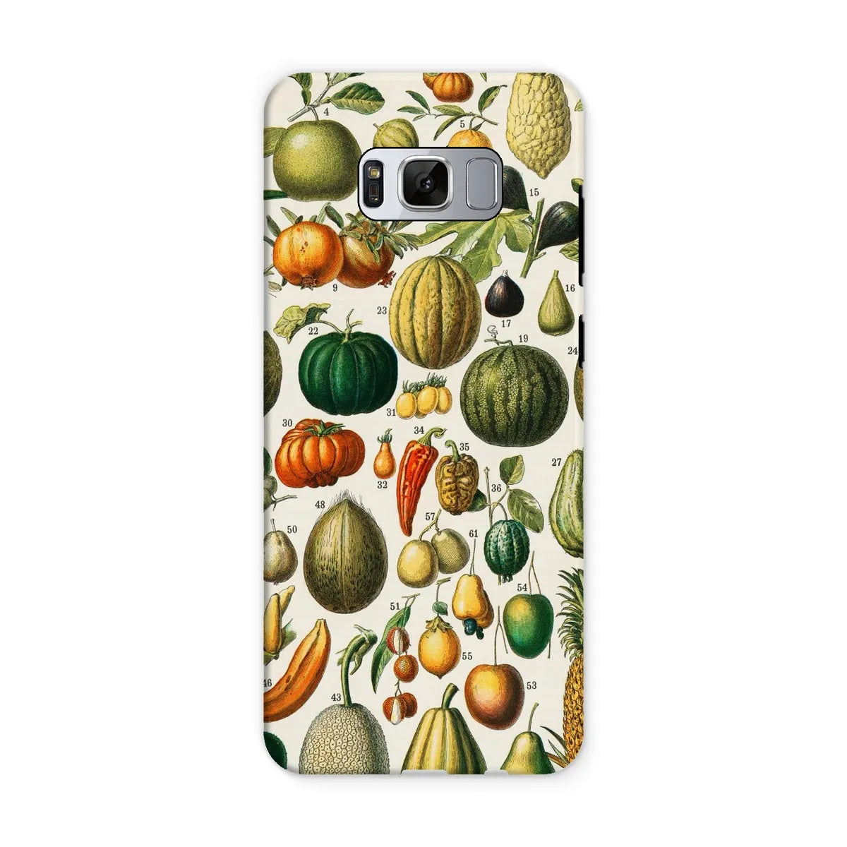 Fruits And Vegetables Art Phone Case - Nouveau Larousse Illustre - Samsung Galaxy S8 / Matte - Mobile Phone Cases