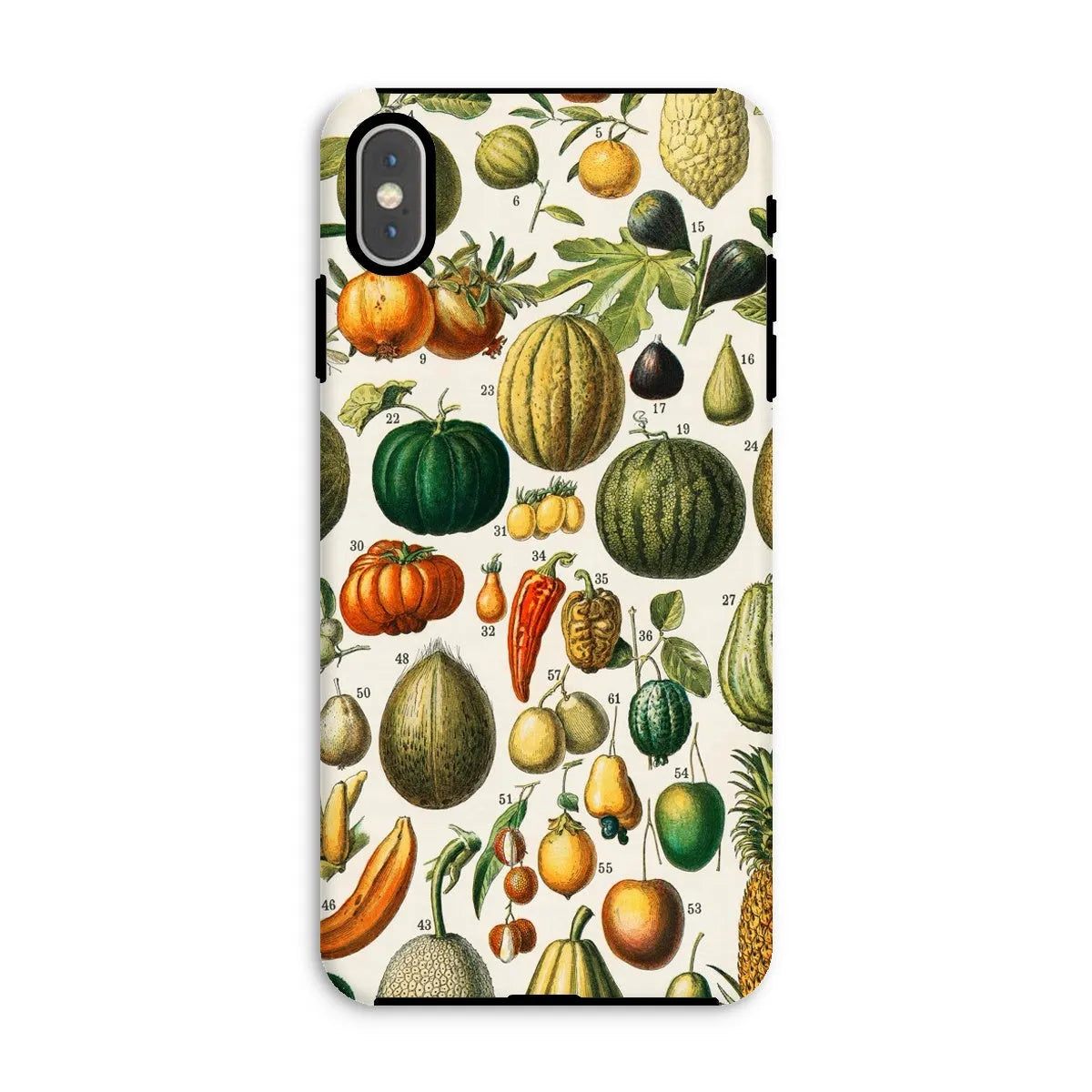 Fruits And Vegetables Art Phone Case - Nouveau Larousse Illustre - Iphone Xs Max / Matte - Mobile Phone Cases