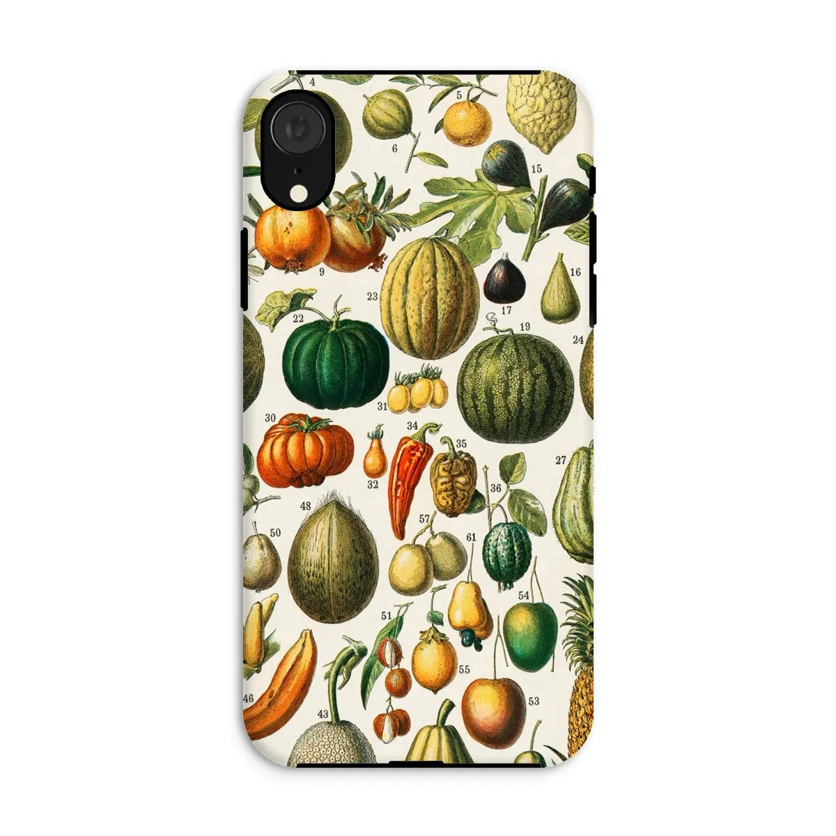 Fruits And Vegetables Art Phone Case - Nouveau Larousse Illustre - Iphone Xr / Matte - Mobile Phone Cases - Aesthetic