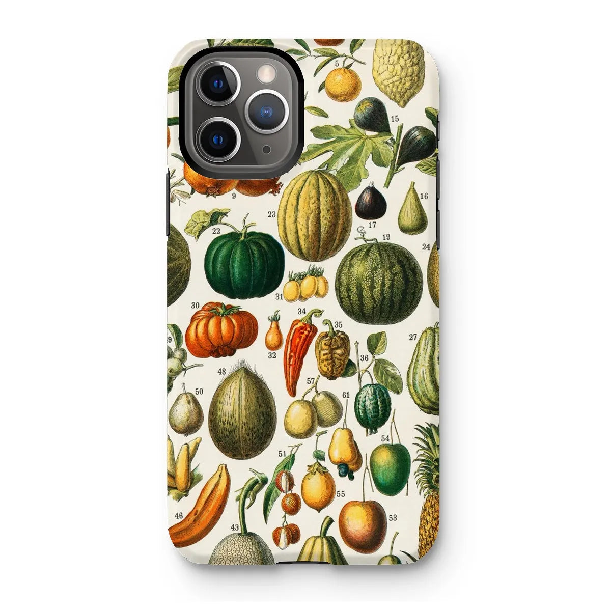 Fruits And Vegetables Art Phone Case - Nouveau Larousse Illustre - Iphone 11 Pro / Matte - Mobile Phone Cases