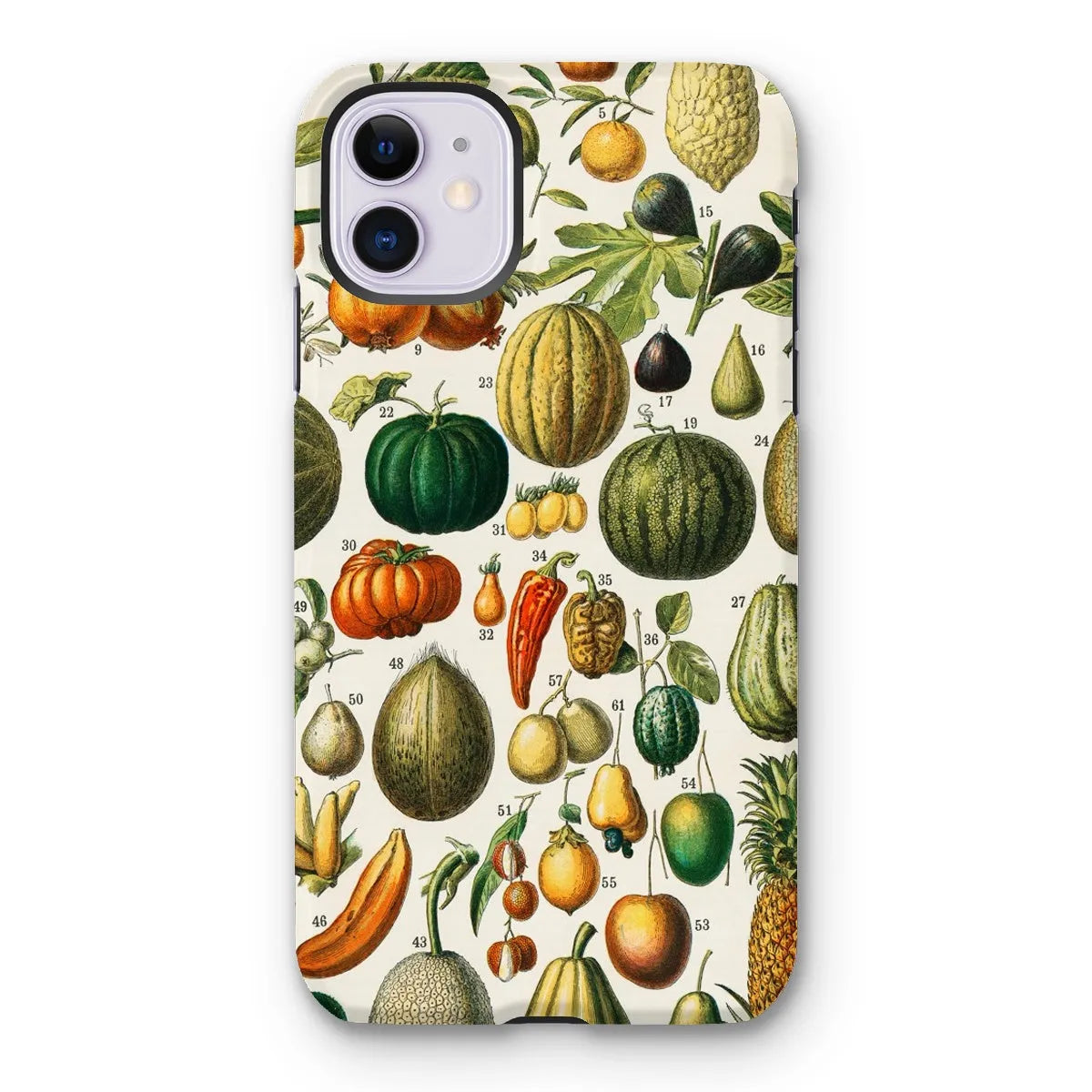 Fruits And Vegetables Art Phone Case - Nouveau Larousse Illustre - Iphone 11 / Matte - Mobile Phone Cases - Aesthetic