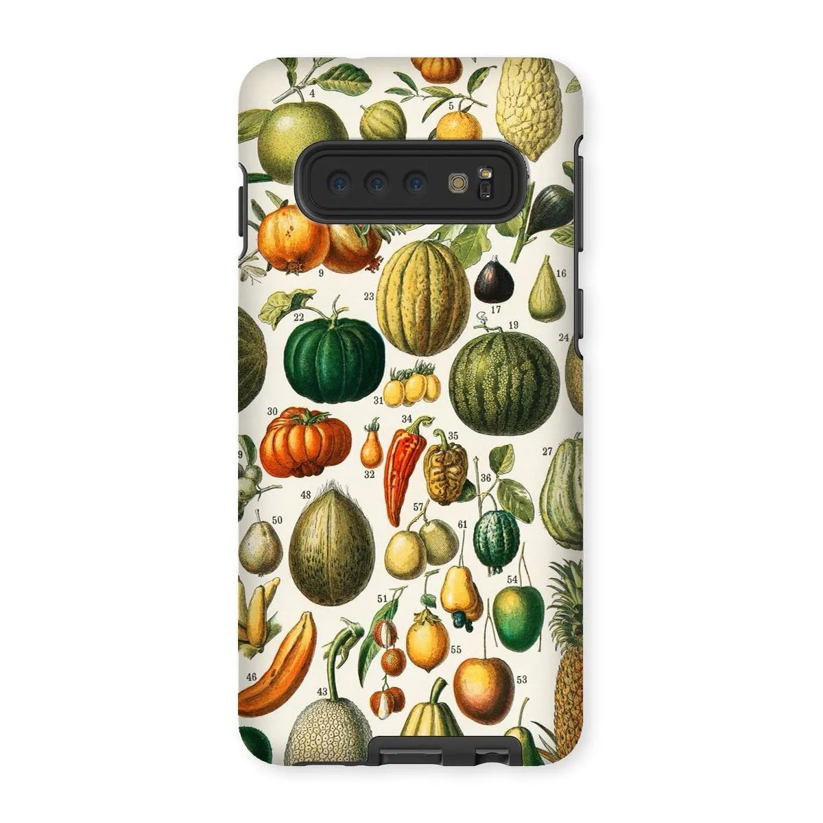Fruits And Vegetables Art Phone Case - Nouveau Larousse Illustre - Samsung Galaxy S10 / Matte - Mobile Phone Cases