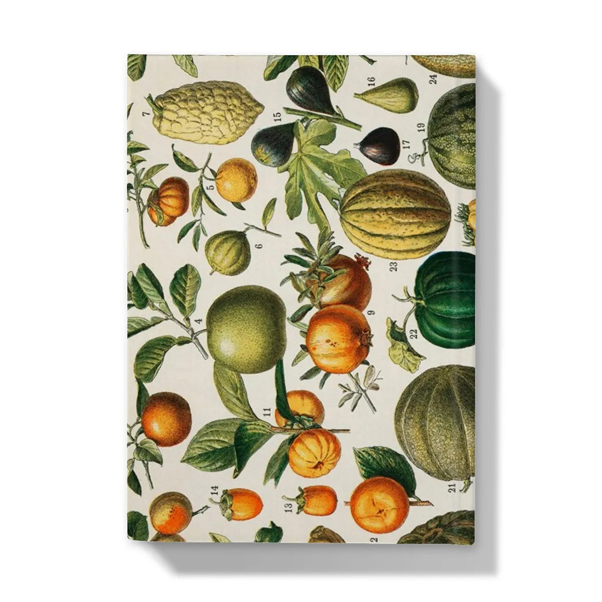 Fruits And Vegetables From Nouveau Larousse Illustre By Larousse Pierre Augé And Claude Hardback Journal - Notebooks