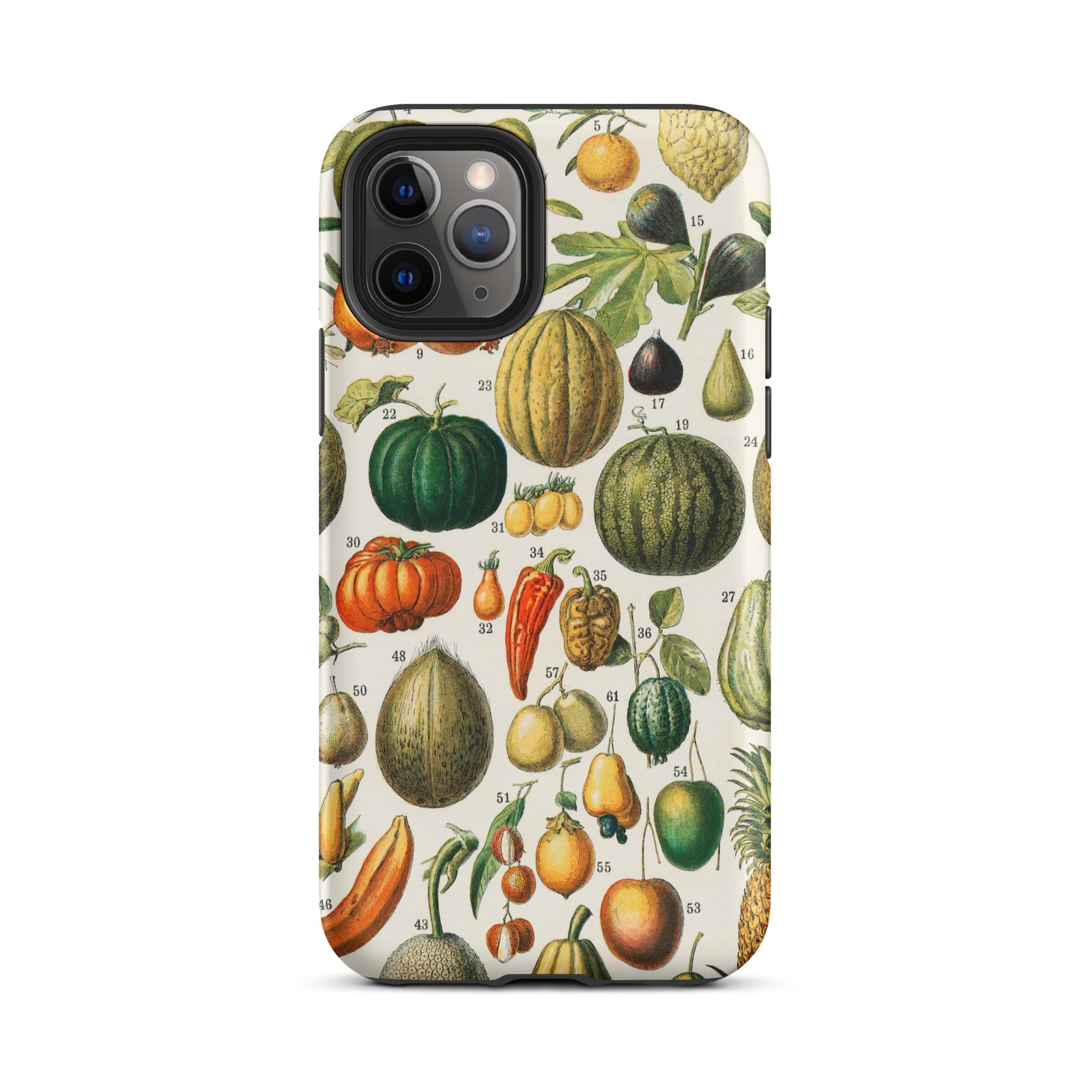 Fruits & Vegetables Nouveau Larousse Iphone Case, 11 Pro / Matte, Fruit Themed Iphone Case