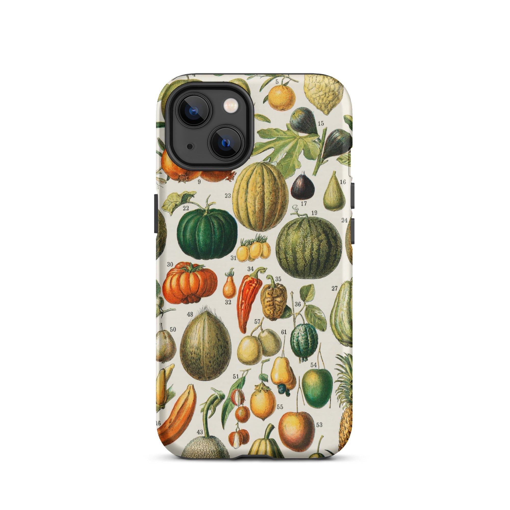 Fruits & Vegetables Nouveau Larousse Iphone Case, 13 / Matte, Iphone Case Vintage Fruit Vegetable Illustrations