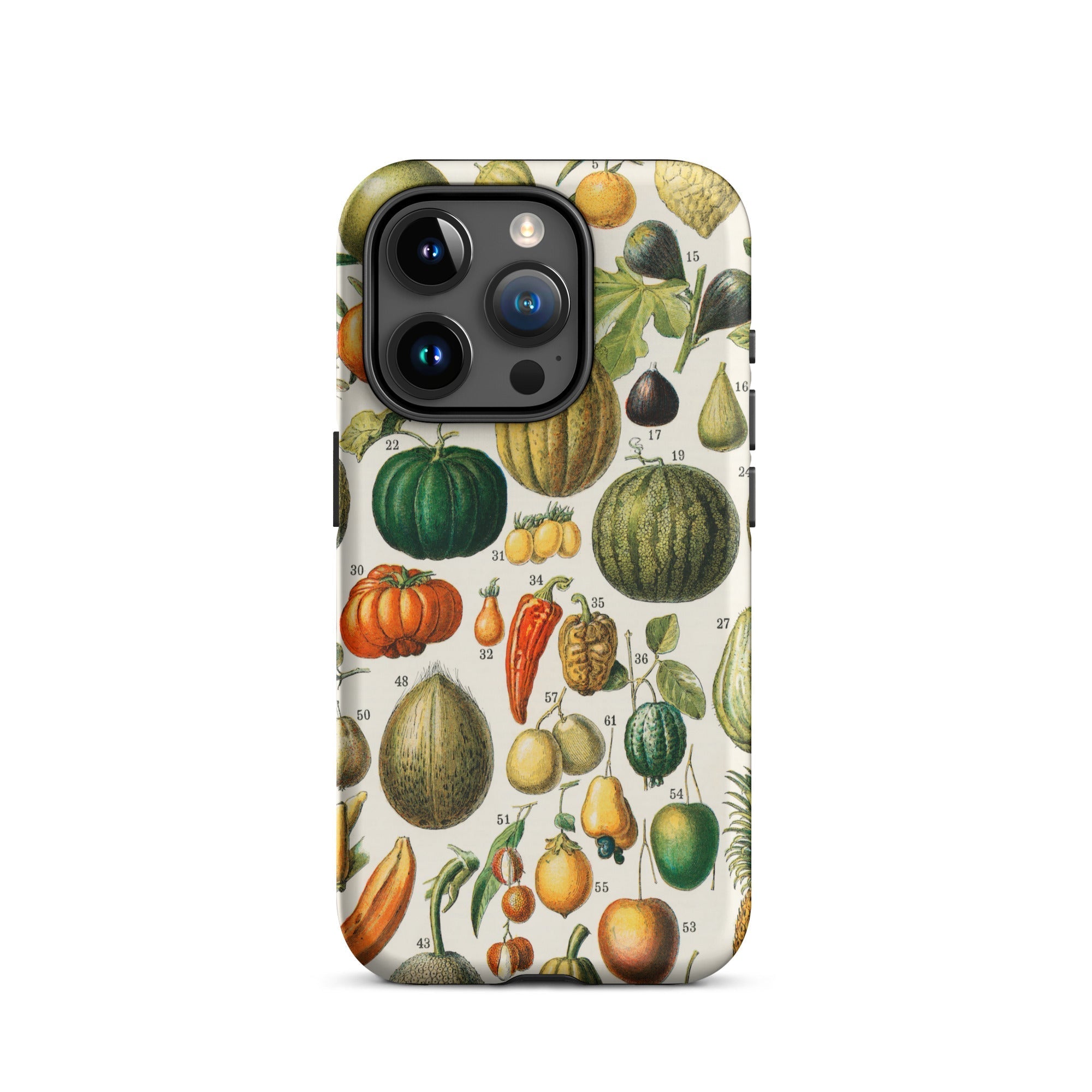 Fruits & Vegetables Nouveau Larousse Iphone Case, 15 Pro / Matte, Vegetable Themed Iphone Case