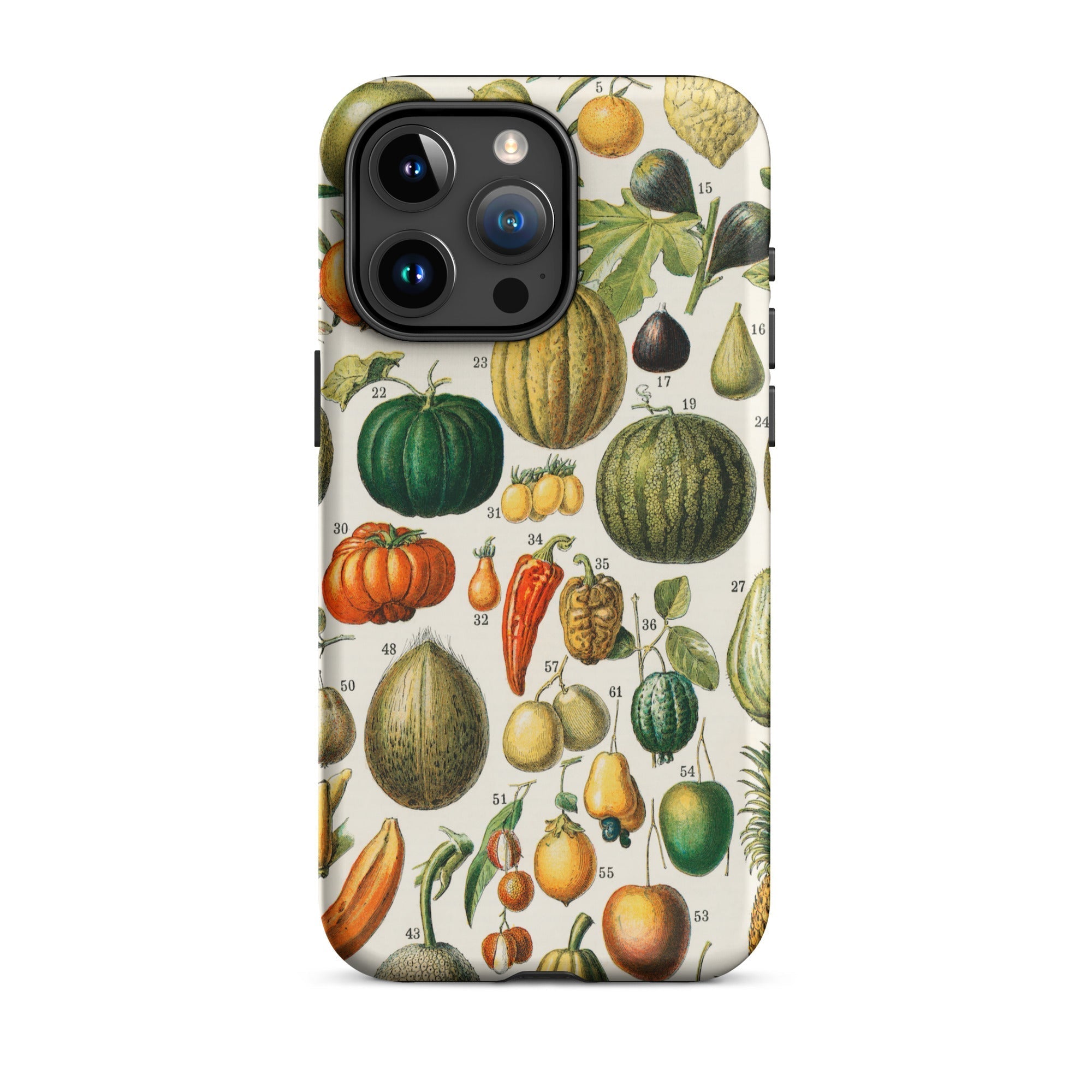 Fruits & Vegetables Nouveau Larousse Iphone Case, 15 Pro Max / Matte, Botanical Print Phone Case