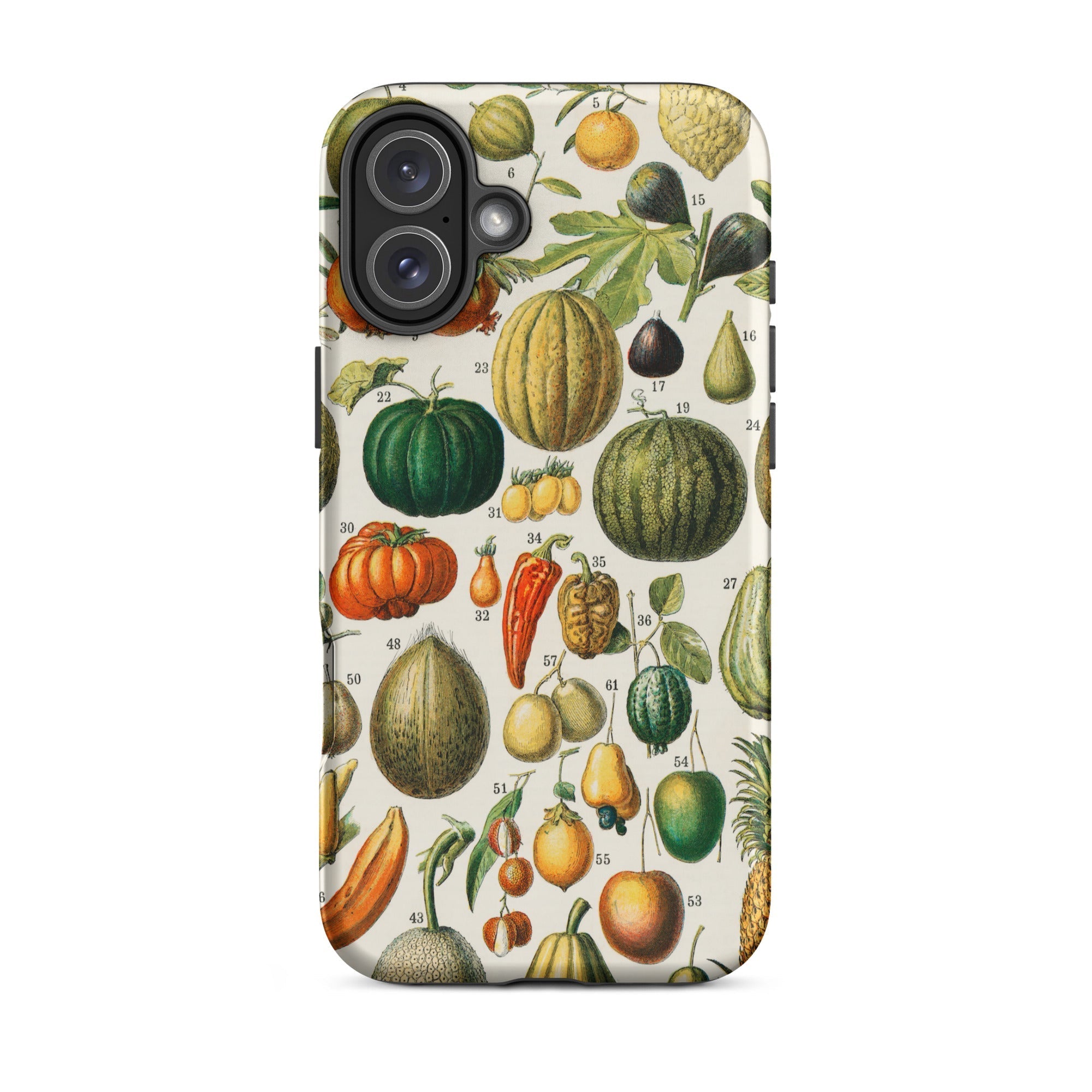Fruits & Vegetables Nouveau Larousse Iphone Case, 16 Plus / Matte, Botanical Print Phone Case