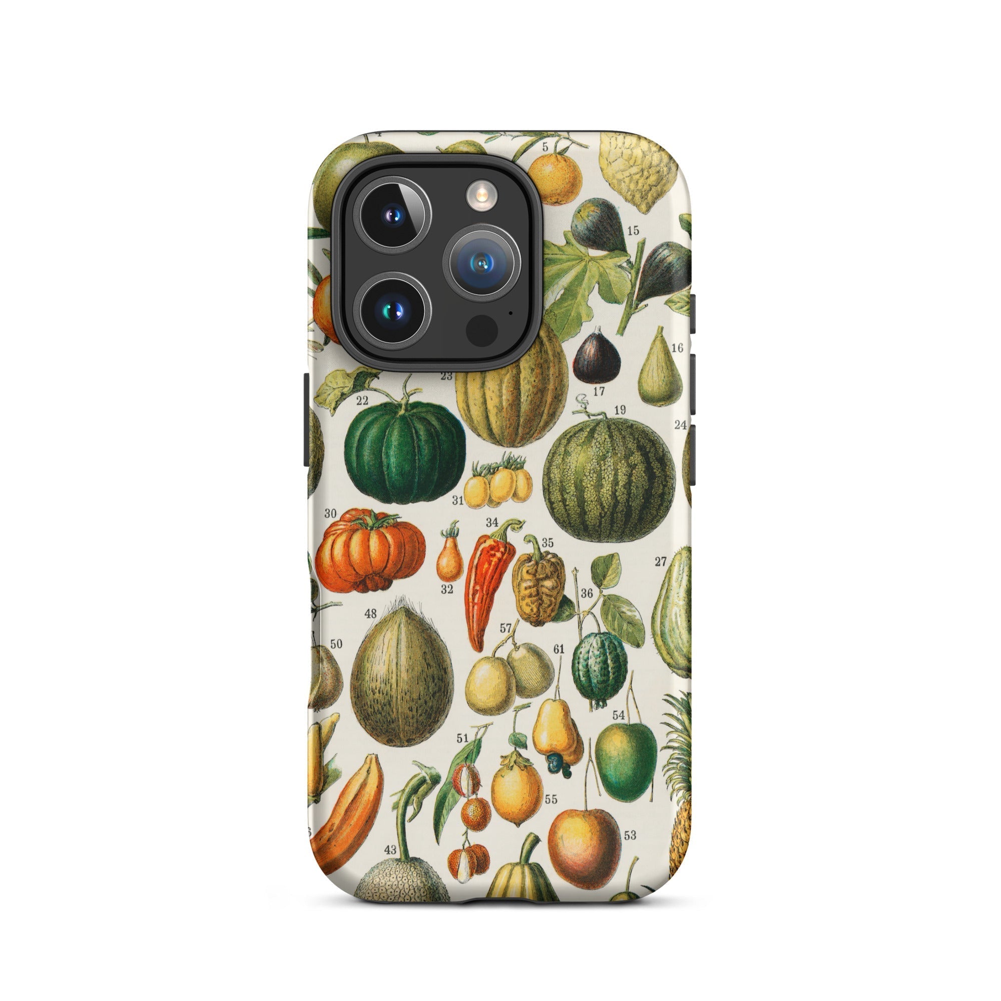 Fruits & Vegetables Nouveau Larousse Iphone Case, 16 Pro / Matte, Iphone Case Vintage Fruit Vegetable Illustrations