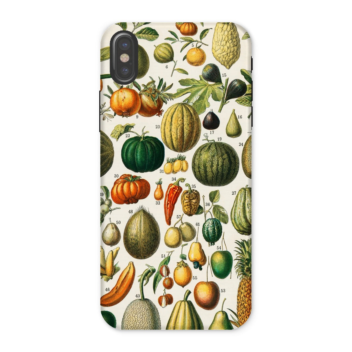 Fruits & Vegetables Nouveau Larousse Iphone Case, x / Matte, Phone Case Colorful Botanical Illustration Fruits Vegetables