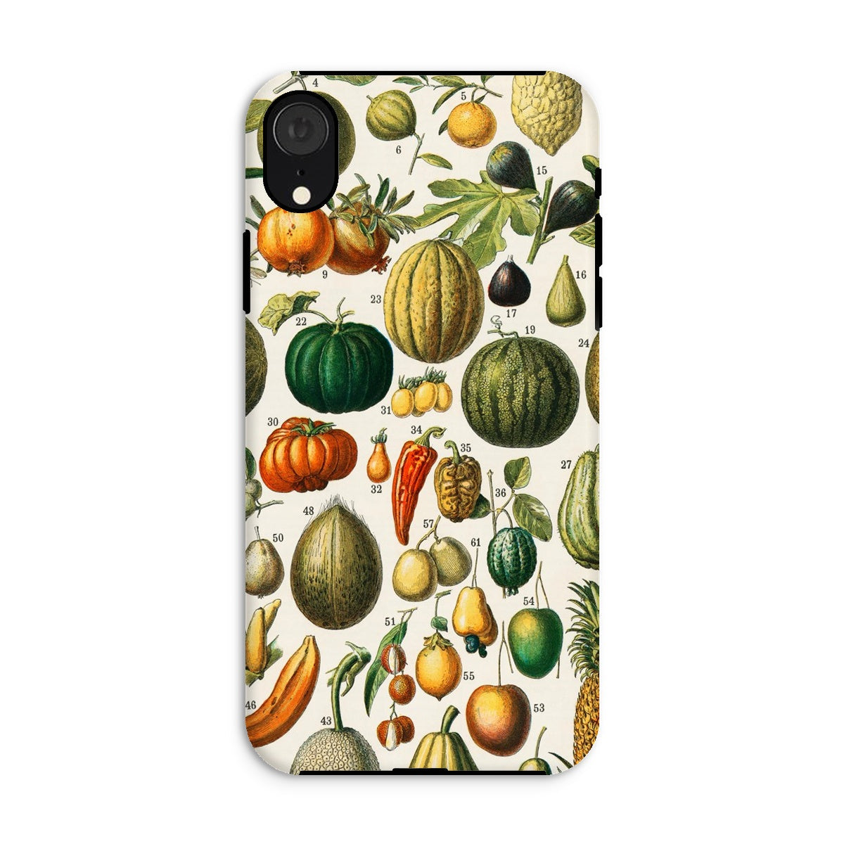 Fruits & Vegetables Nouveau Larousse Iphone Case, Xr / Matte, Phone Case Colorful Botanical Fruit Vegetable Print Design