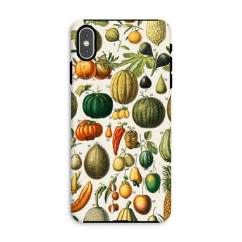 Fruits & Vegetables - Nouveau Larousse Iphone Case, Xs Max / Matte, Phone Case Colorful Botanical Illustration Fruits Vegetables