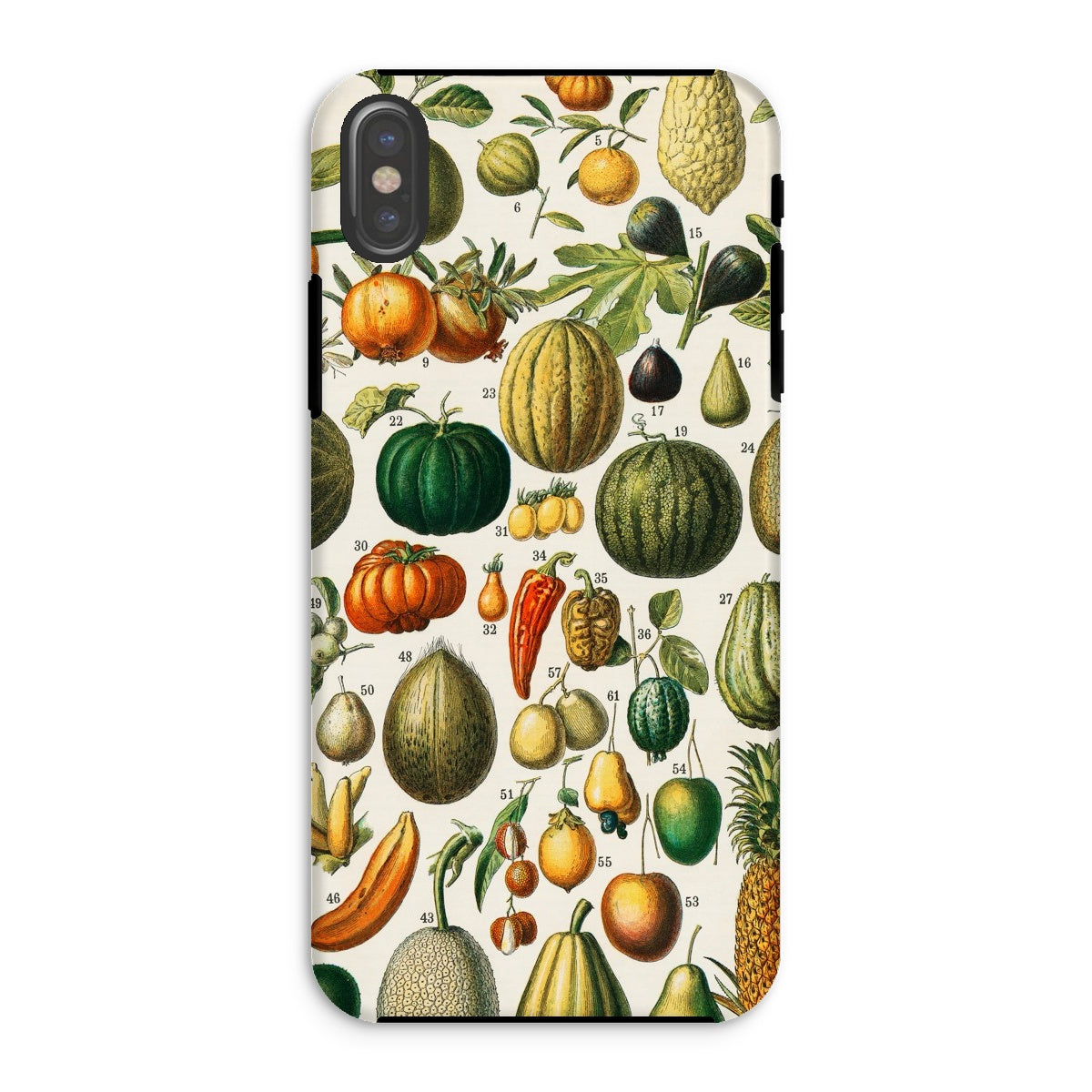 Fruits & Vegetables - Nouveau Larousse Iphone Case, Xs / Tough Phone, Phone Case Colorful Botanical Illustration Fruits Vegetables