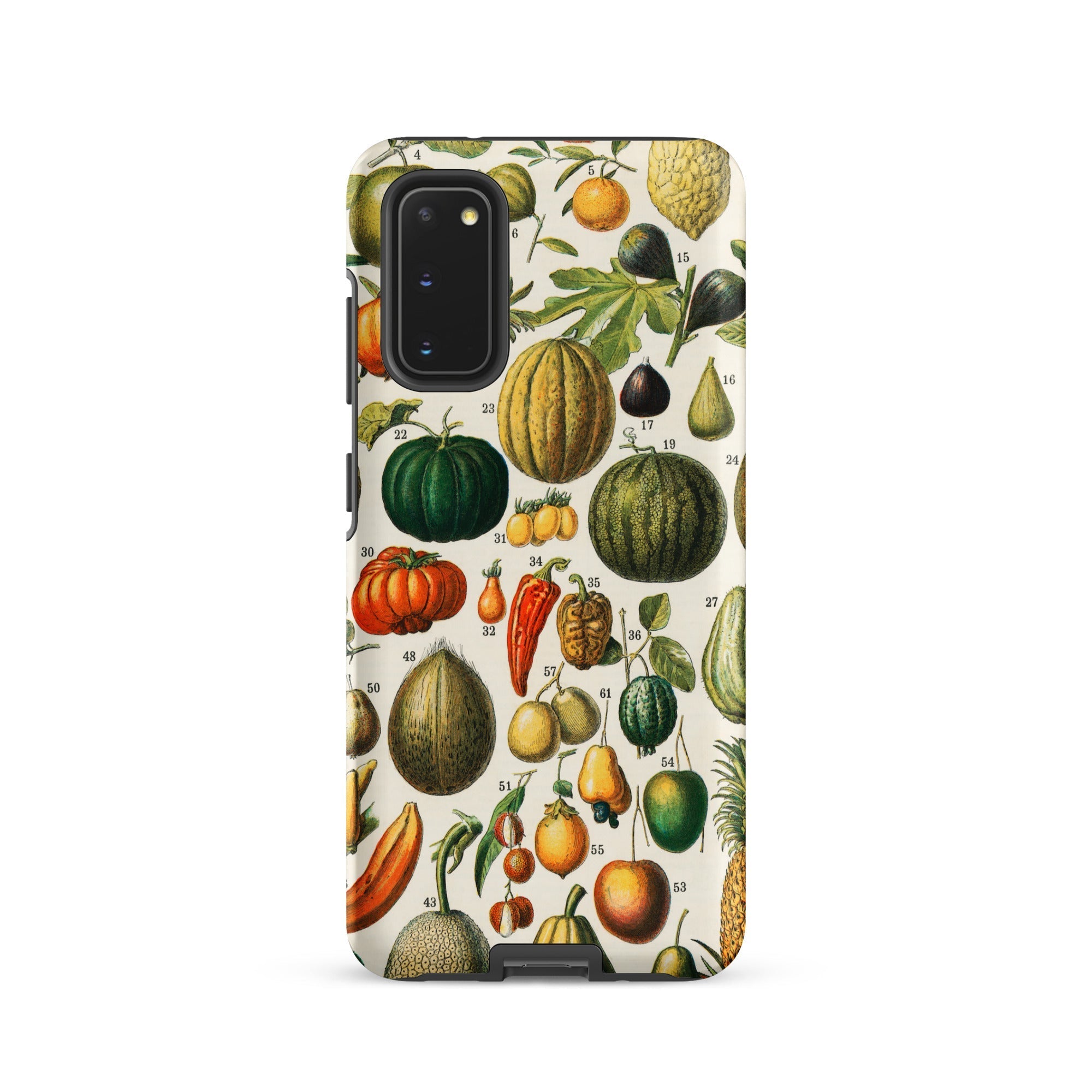 Fruits & Vegetables Nouveau Larousse Samsung Case, Galaxy S20 / Matte, Phone Case Vintage Botanical Illustration Fruits Vegetables