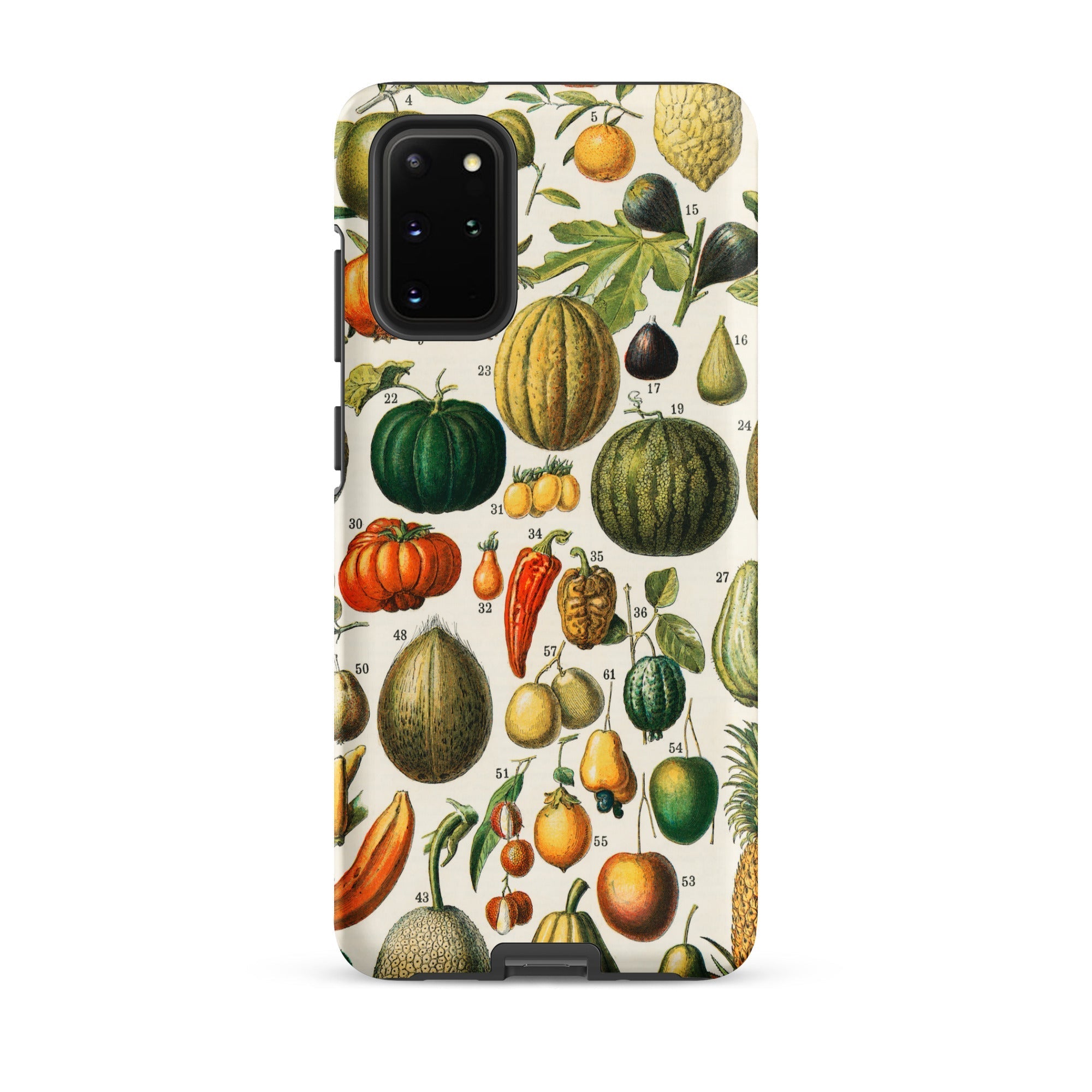 Fruits & Vegetables Nouveau Larousse Samsung Case, Galaxy S20 Plus / Matte, Smartphone Case Vintage Botanical Illustration Fruits Vegetables