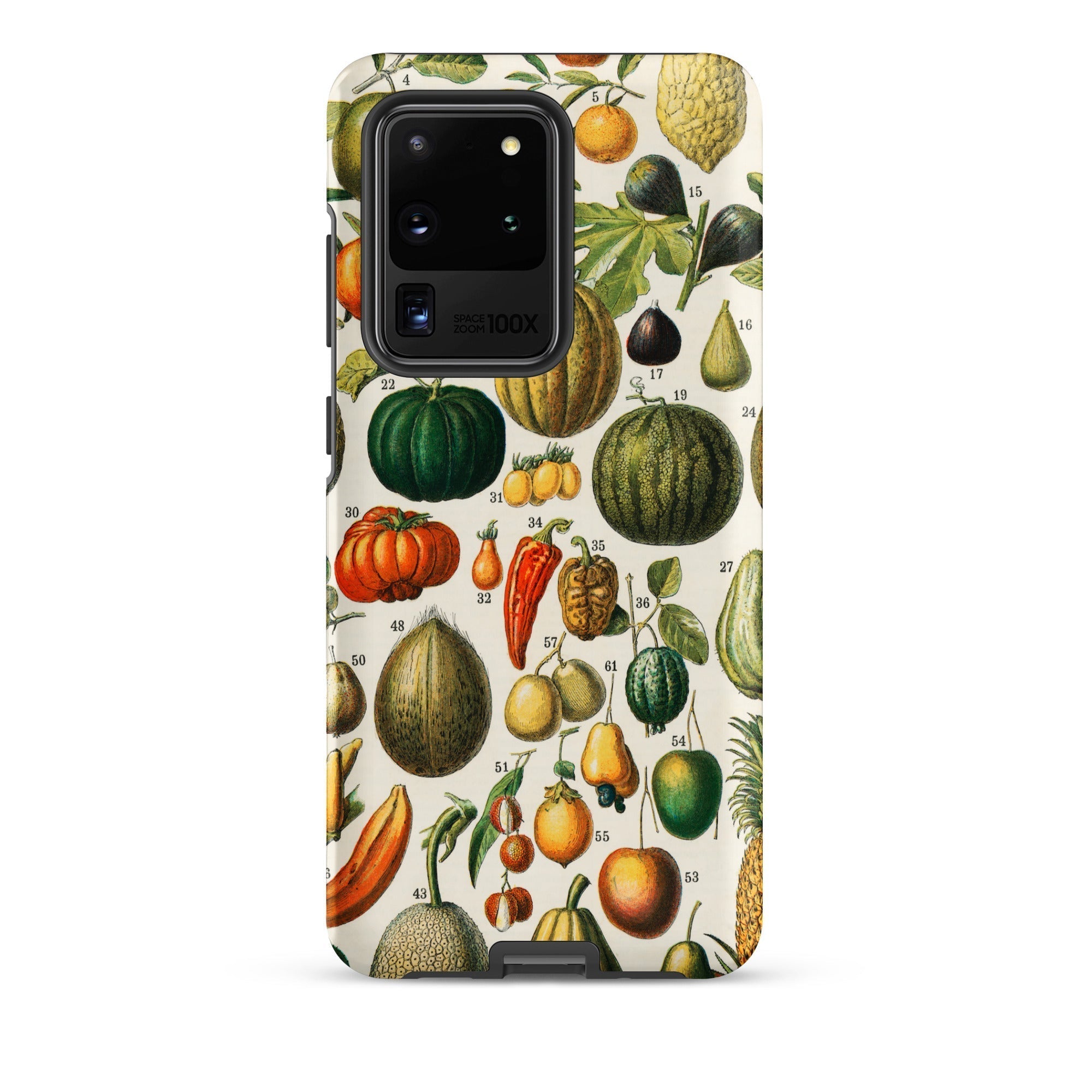 Fruits & Vegetables Nouveau Larousse Samsung Case, Galaxy S20 Ultra / Matte, Phone Case Vintage Botanical Illustration Fruits Vegetables