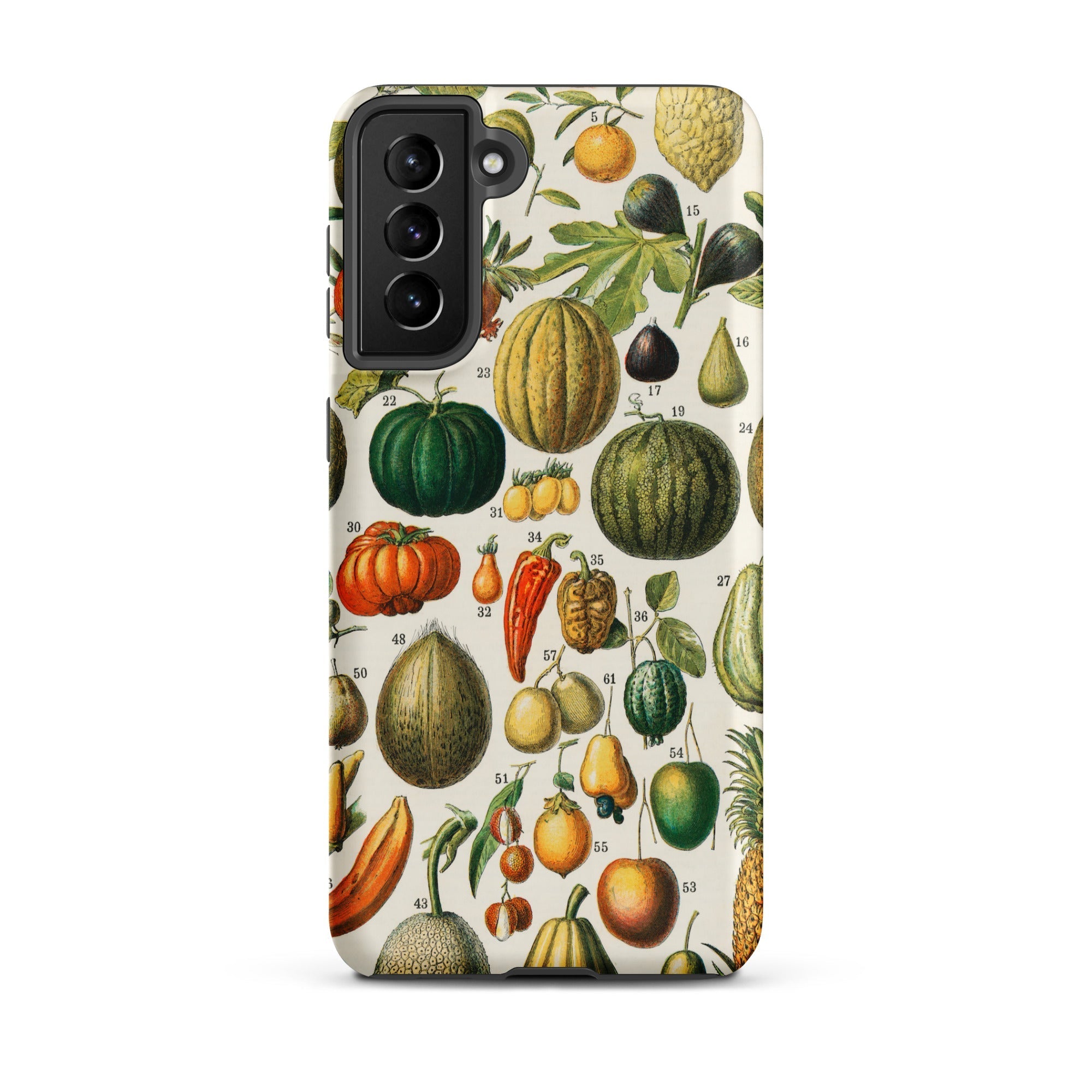 Fruits & Vegetables Nouveau Larousse Samsung Case, Galaxy S21 Plus / Matte, Smartphone Case Colorful Vintage Botanical Illustration Fruits