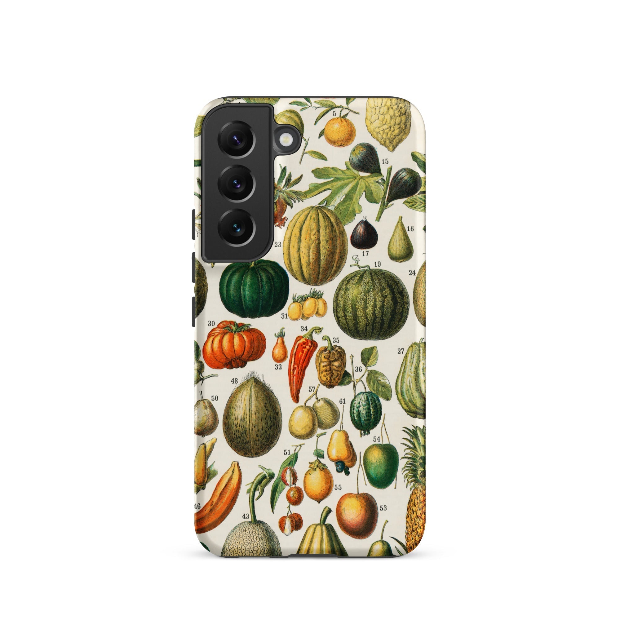 Fruits & Vegetables Nouveau Larousse Samsung Case, Galaxy S22 / Matte, Phone Case Vintage Botanical Print Fruits Vegetables