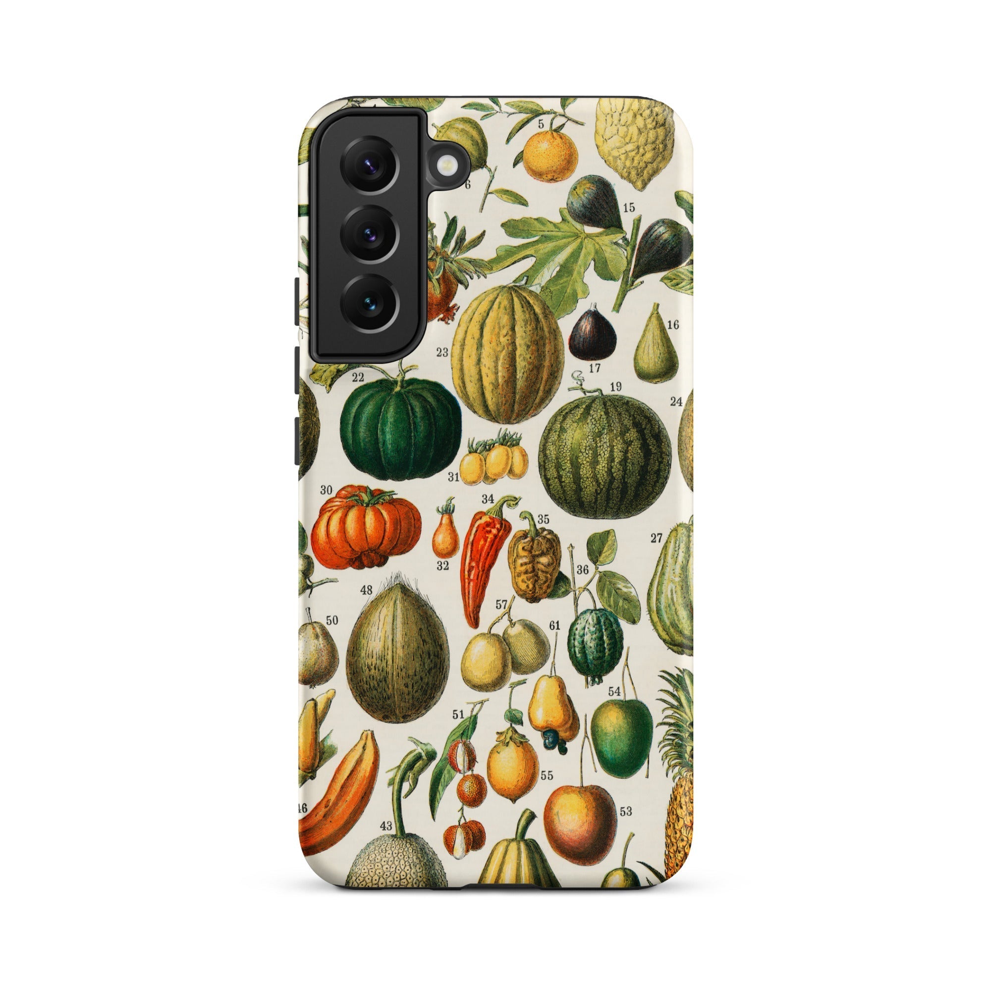 Fruits & Vegetables Nouveau Larousse Samsung Case, Galaxy S22 Plus / Matte, Smartphone Case Vintage Botanical Illustration Fruits Vegetables