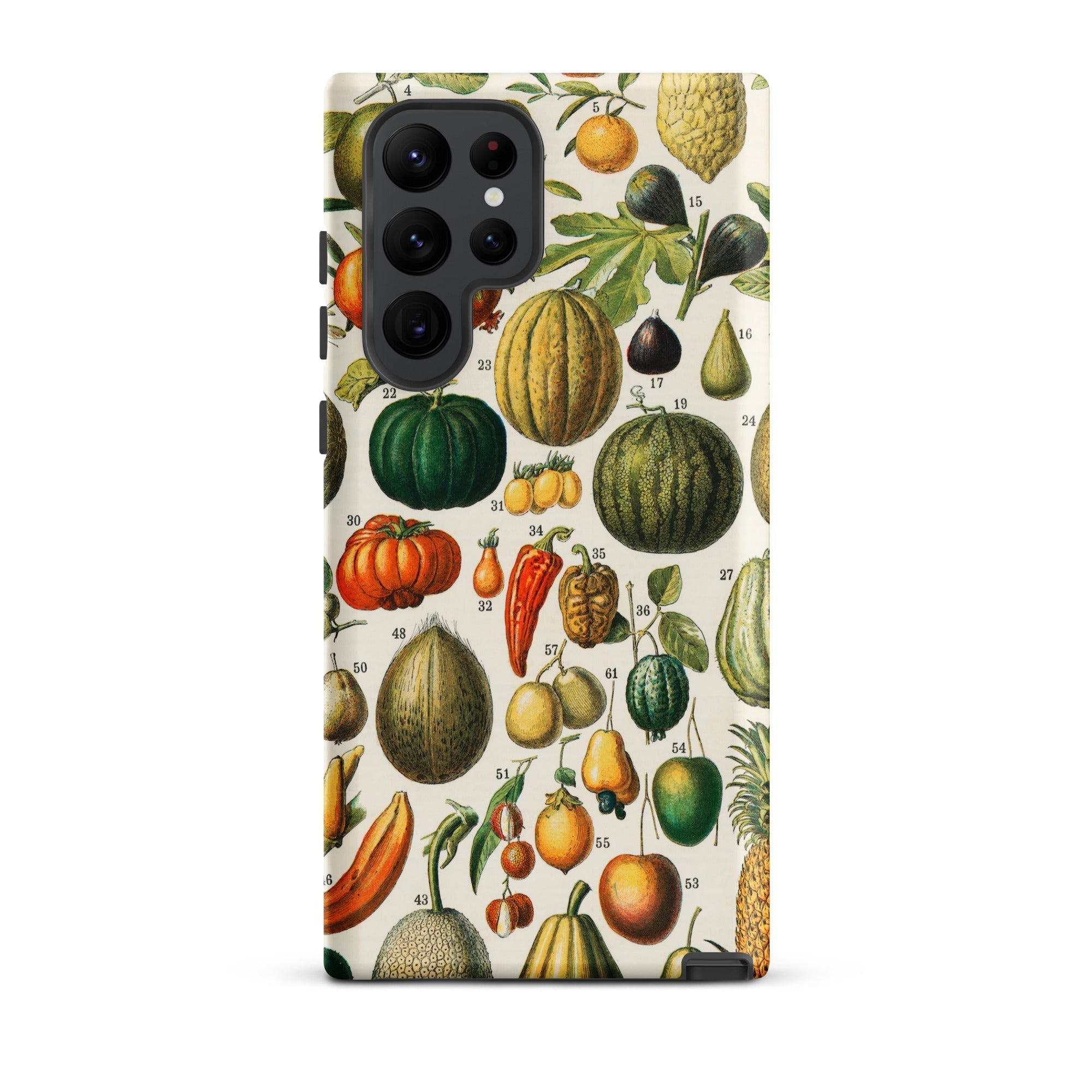 Fruits & Vegetables Nouveau Larousse Samsung Case, Galaxy S22 Ultra / Matte, Phone Case Vintage Botanical Illustration Fruits Vegetables