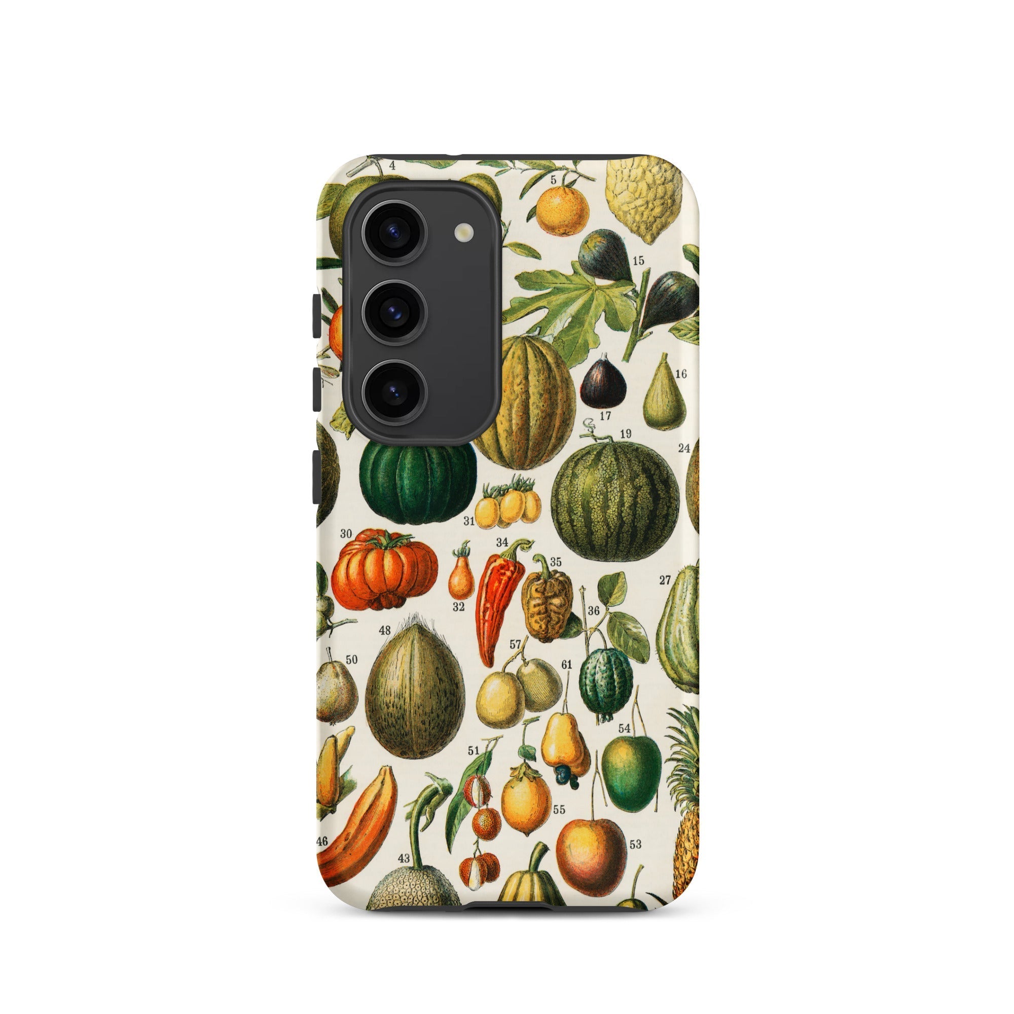 Fruits & Vegetables Nouveau Larousse Samsung Case, Galaxy S23 / Matte, Phone Case Vintage Botanical Illustration Fruits Vegetables