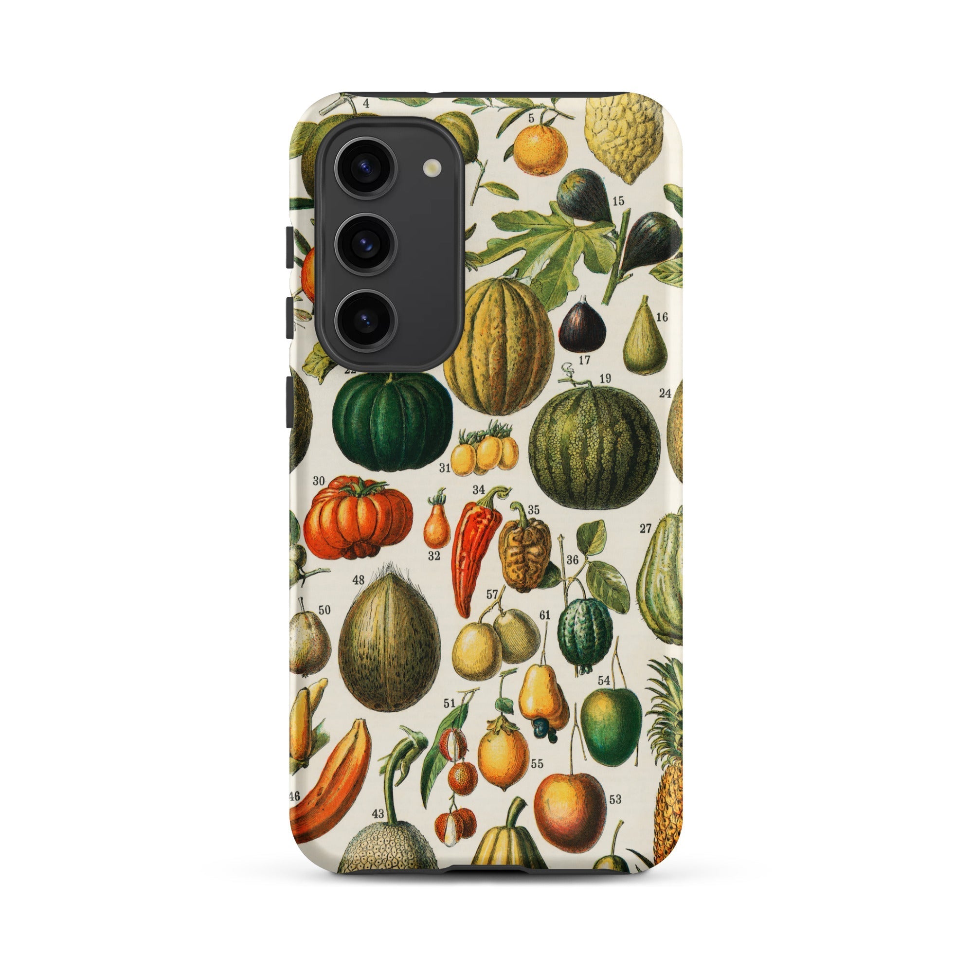 Fruits & Vegetables Nouveau Larousse Samsung Case, Galaxy S23 Plus / Matte, Smartphone Case Vintage Botanical Illustration Fruits Vegetables