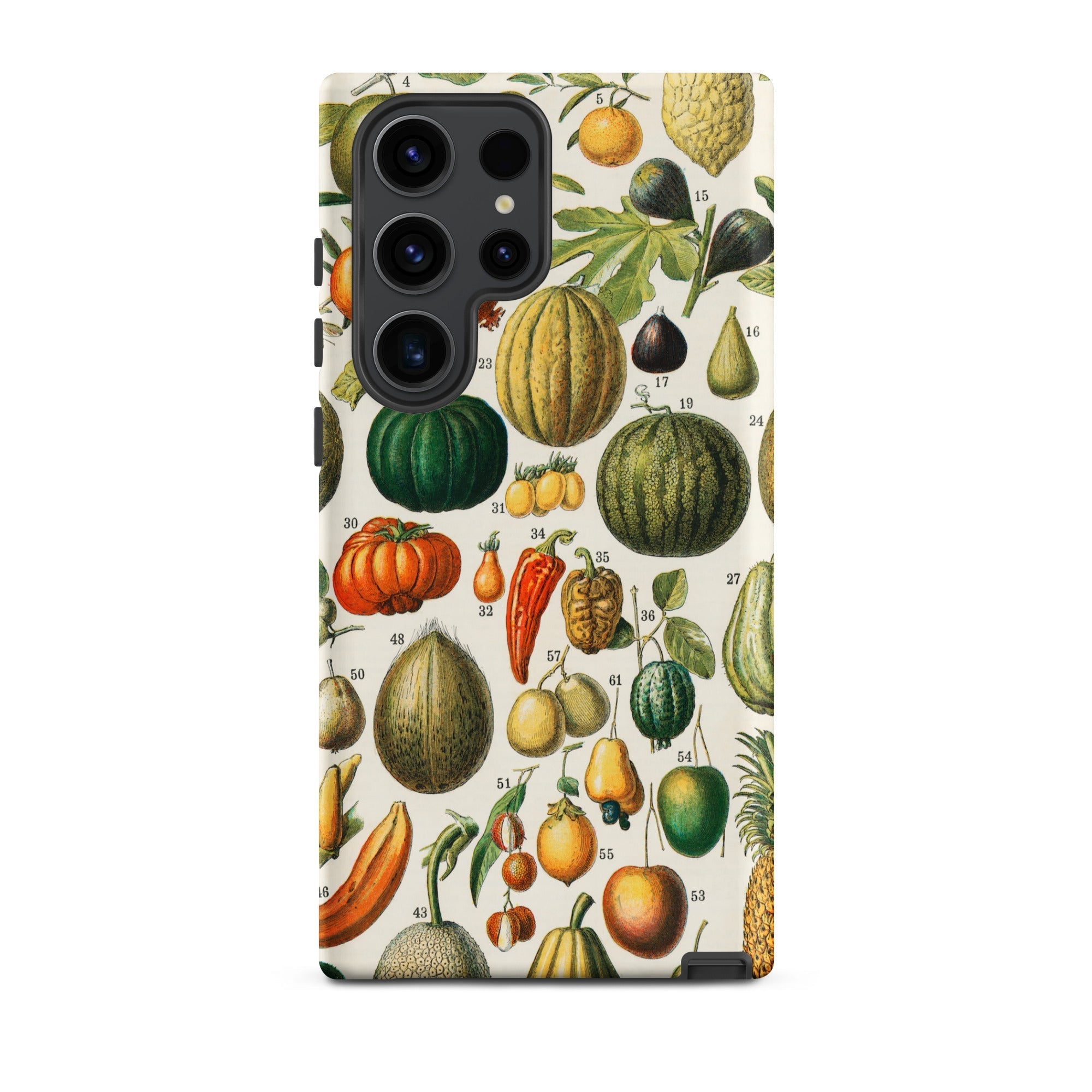 Fruits & Vegetables Nouveau Larousse Samsung Case, Galaxy S23 Ultra / Matte, Smartphone Vintage Botanical Print Case Fruits Vegetables