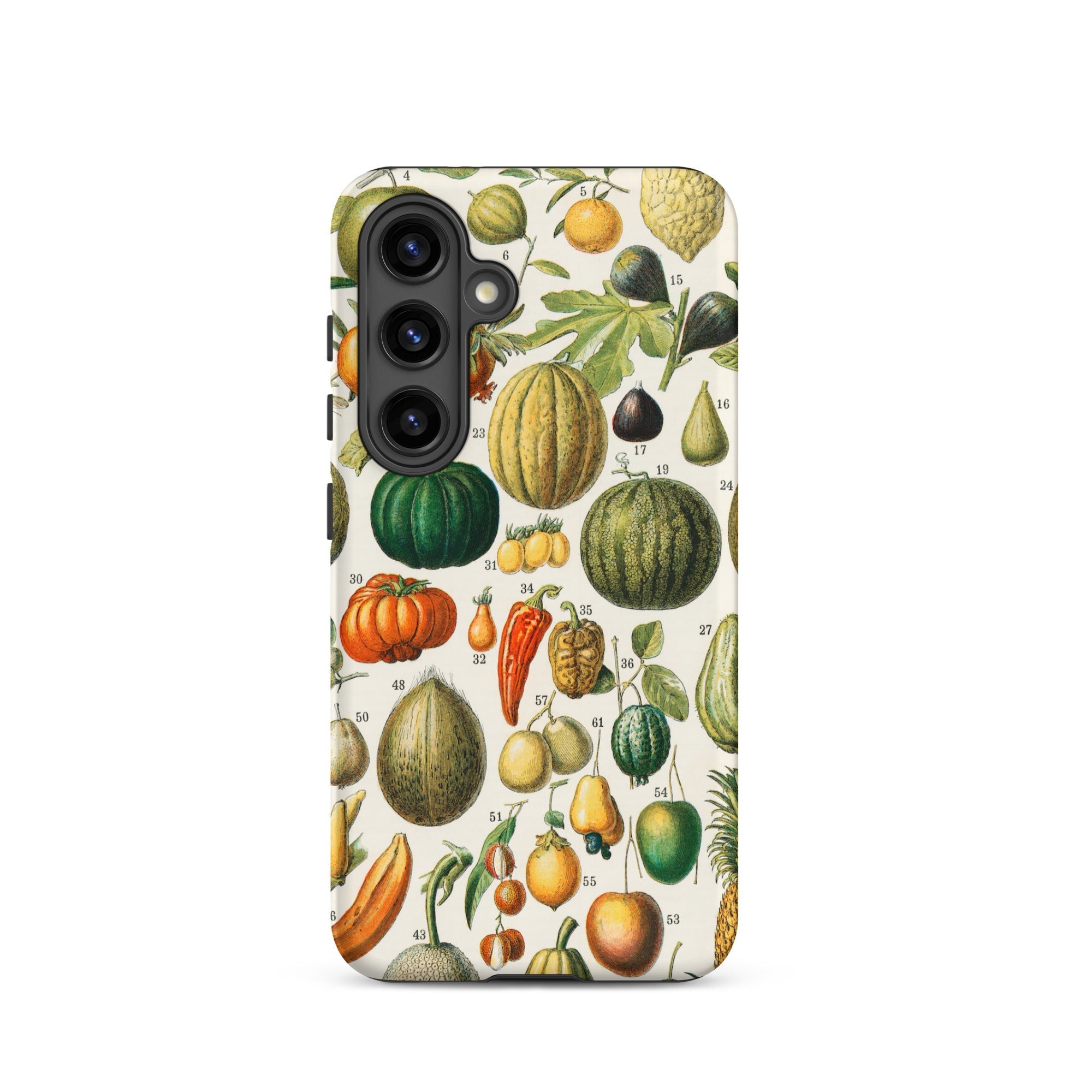 Fruits & Vegetables Nouveau Larousse Samsung Case, Galaxy S24 / Matte, Phone Case Vintage Botanical Illustration Fruits Vegetables