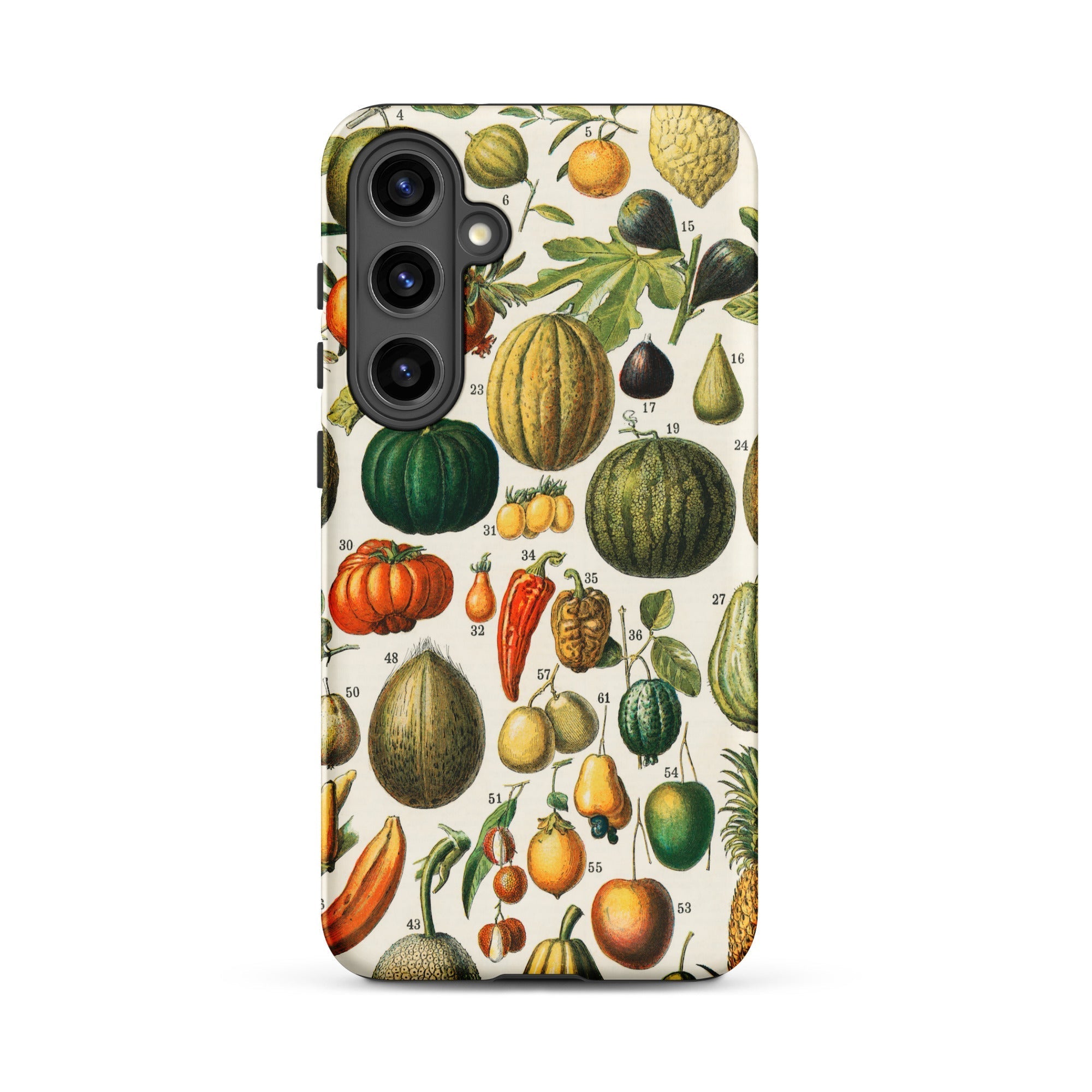 Fruits & Vegetables Nouveau Larousse Samsung Case, Galaxy S24 Plus / Matte, Phone Case Colorful Vintage Botanical Illustration Fruits