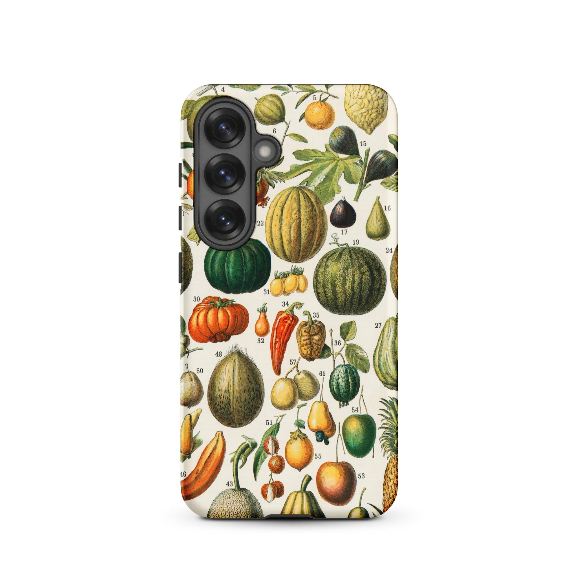 Fruits & Vegetables Nouveau Larousse Samsung Case, Galaxy S25 / Matte, Smartphone Case Vintage Style Botanical Illustration Fruits