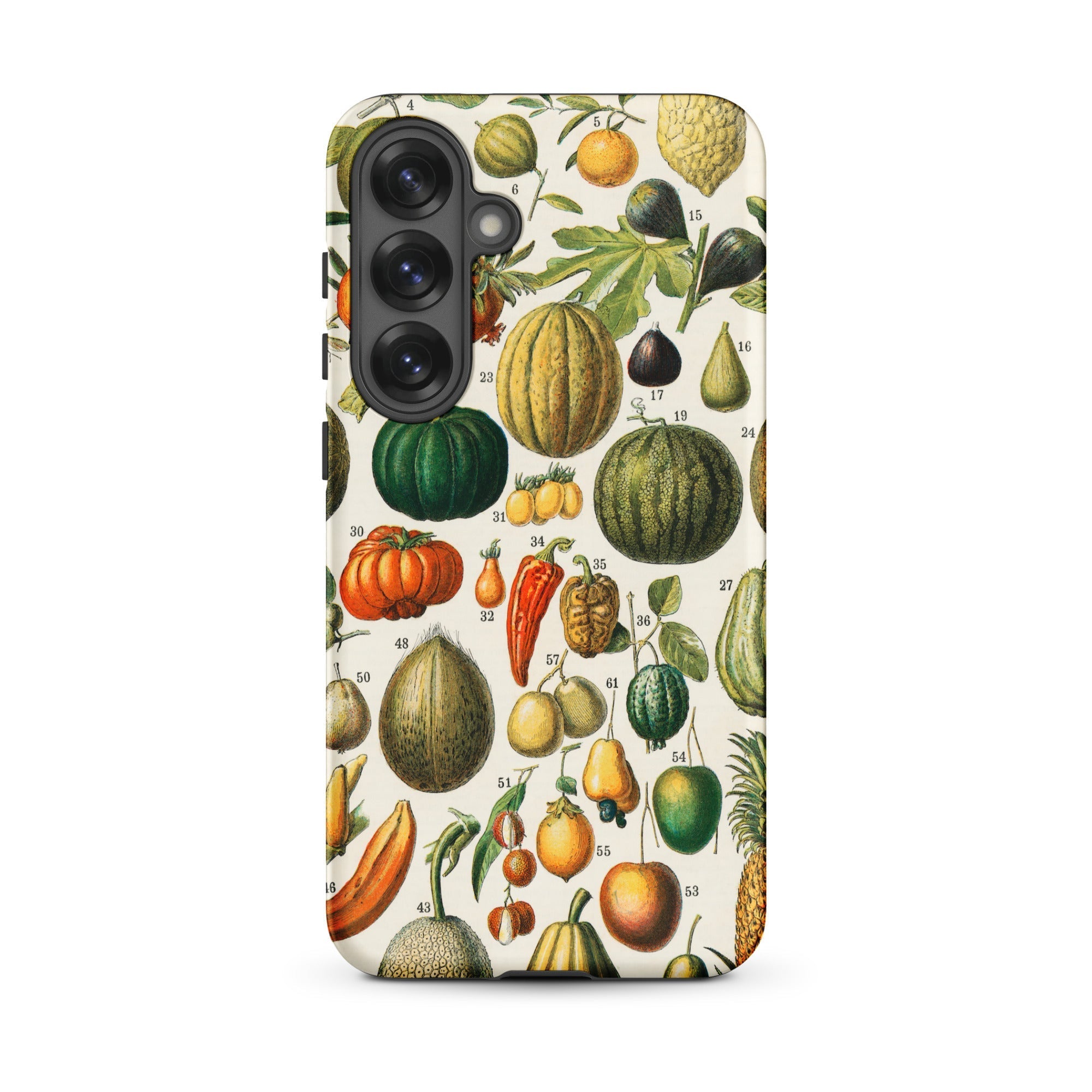 Fruits & Vegetables Nouveau Larousse Samsung Case, Galaxy S25 Plus / Matte, Phone Case Vintage Botanical Print Fruits Vegetables