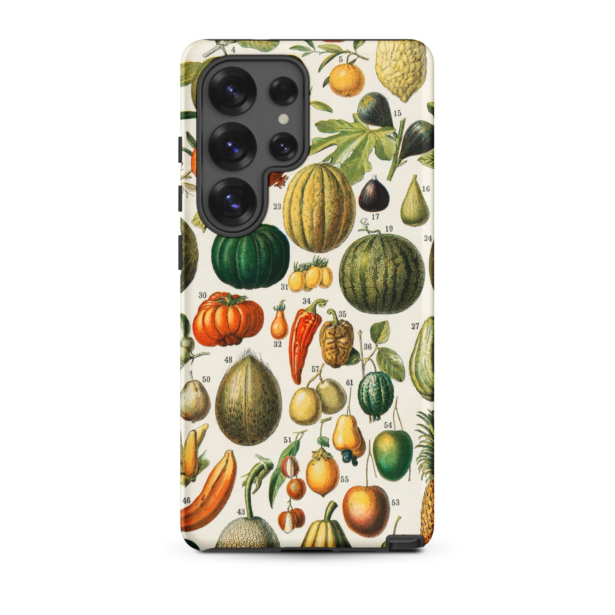 Fruits & Vegetables Nouveau Larousse Samsung Case, Galaxy S25 Ultra / Matte, Smartphone Vintage Botanical Illustration Fruits Vegetables