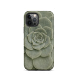 Geometric Succulent Iphone Case, 12 Pro / Matte, Mobile Phone Cases, Toby Leon