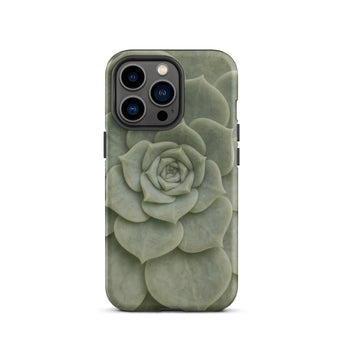 Geometric Succulent Iphone Case, 13 Pro / Matte, Mobile Phone Cases, Toby Leon
