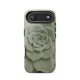 Geometric Succulent Iphone Case, 17 Air / Gloss, Mobile Phone Cases, Toby Leon