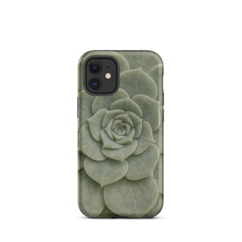 Geometric Succulent Phone Case Iphone 12 Mini / Matte Sleek Matte-finish Phone Case Detailed Pale Green Succulent Baja California’s Stone,
