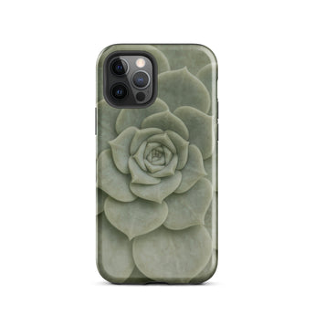 Geometric Succulent Phone Case Iphone 12 Pro / Gloss Sleek Phone Case Detailed Muted Green Succulent Design Baja California’s Stone,