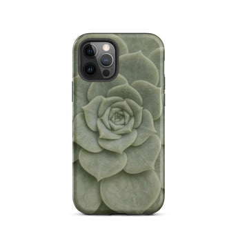 Geometric Succulent Phone Case Iphone 12 Pro / Matte Sleek Phone Case Detailed Muted Green Succulent Design Baja California’s Stone,