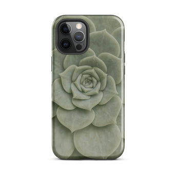 Geometric Succulent Phone Case Iphone 12 Pro Max / Gloss Sleek Matte-finish Phone Case Detailed Pale Green Succulent Baja California’s