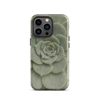 Geometric Succulent Phone Case Iphone 13 Pro / Gloss Sleek Matte-finish Phone Case Detailed Pale Green Succulent Baja California’s Stone,