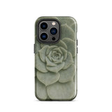 Geometric Succulent Phone Case Iphone 14 Pro / Gloss Sleek Matte-finish Phone Case Detailed Pale Green Succulent Baja California’s Stone,