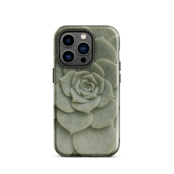 Geometric Succulent Phone Case Iphone 14 Pro / Gloss Sleek Matte-finish Phone Case Detailed Pale Green Succulent Baja California’s Stone,