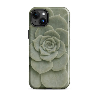 Geometric Succulent Phone Case Iphone 15 Plus / Gloss Sleek Matte-finish Phone Case Detailed Muted Green Succulent Baja California’s Stone,