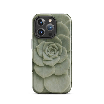 Geometric Succulent Phone Case Iphone 16 Pro / Gloss Sleek Matte-finish Phone Case Detailed Muted Green Succulent Baja California’s Stone,