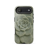 Geometric Succulent Phone Case Iphone 17 Air / Gloss Sleek Matte-finish Phone Case Detailed Pale Green Succulent Baja California’s Stone,
